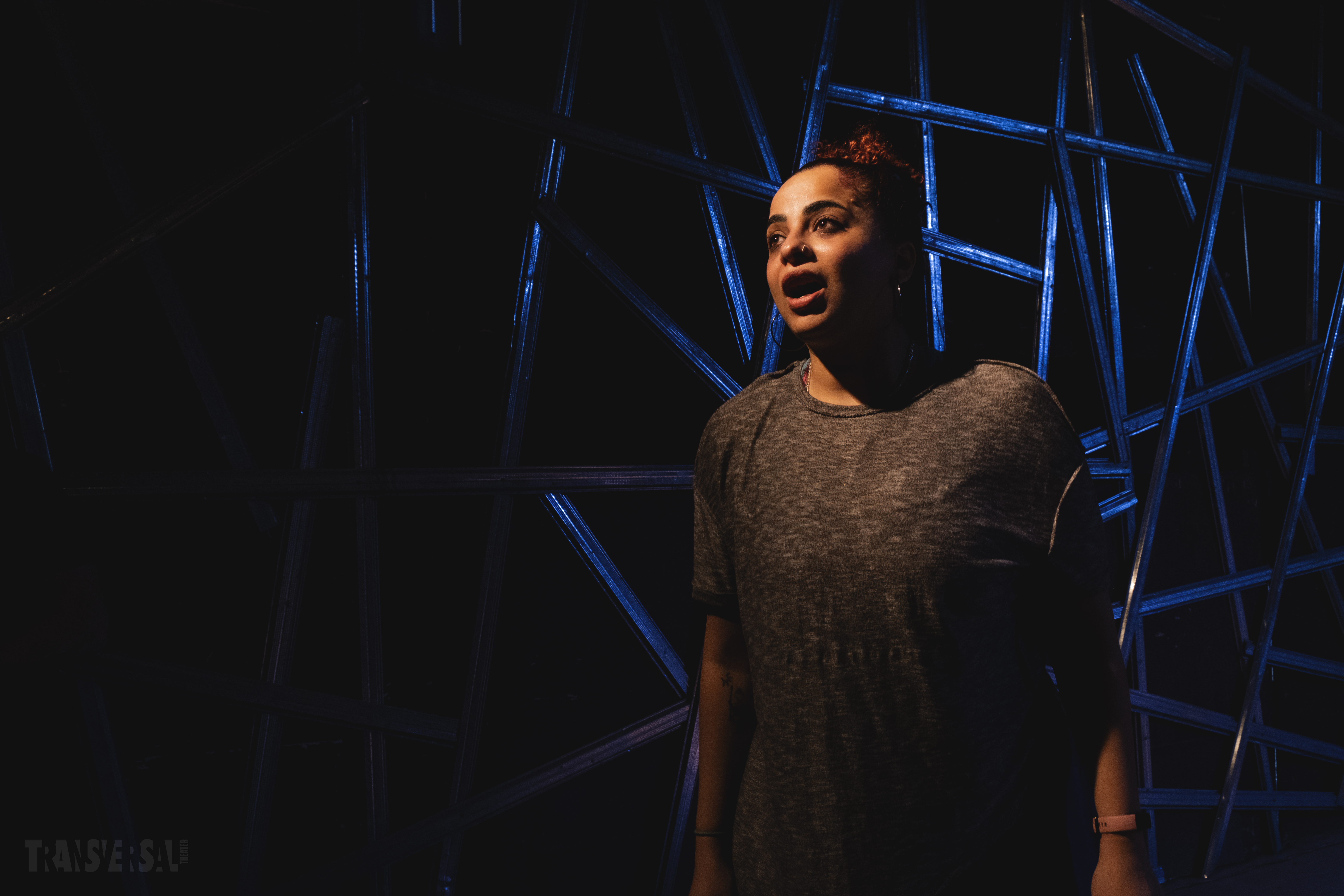 No Erasure | Transversal Theater 2021