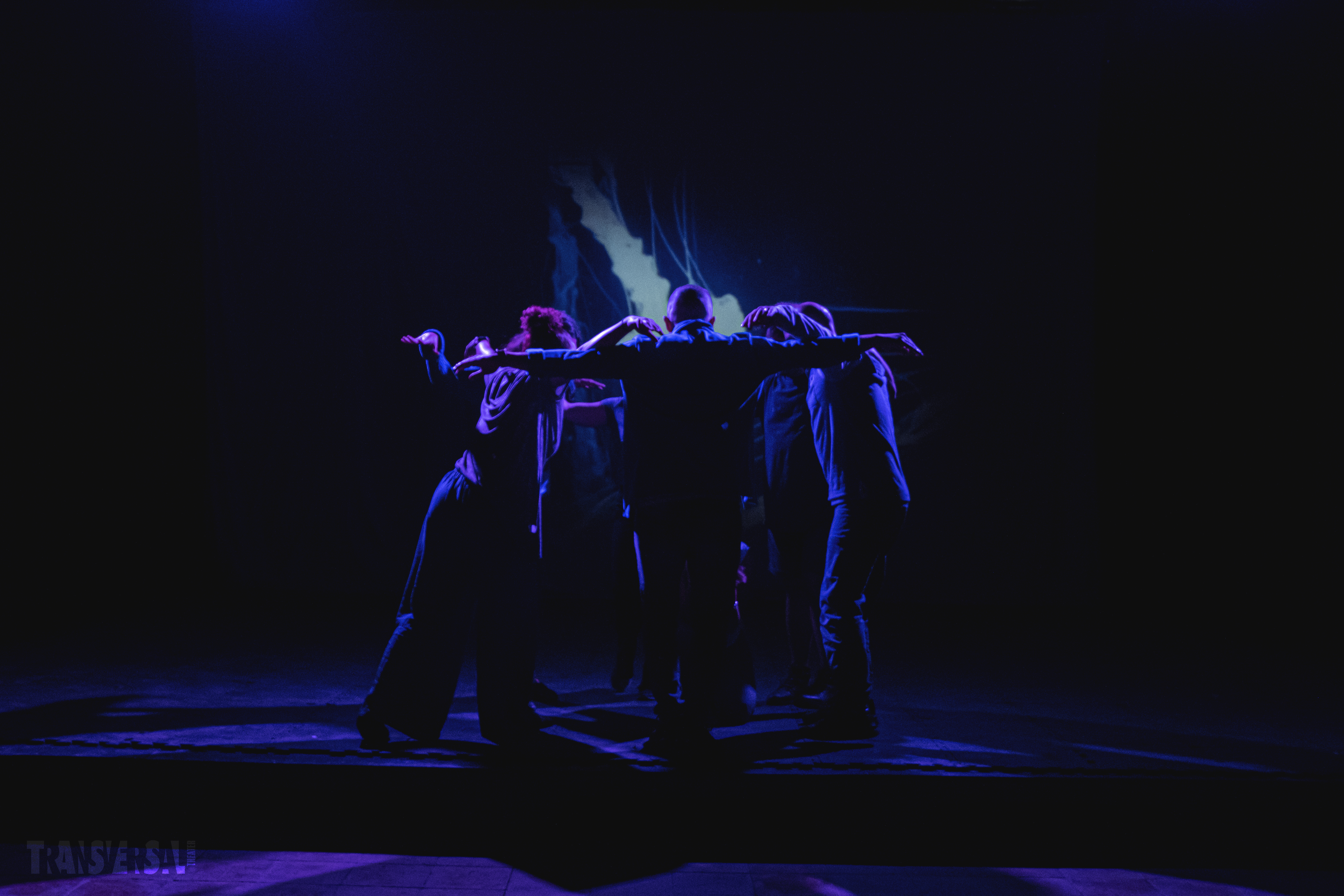 No Erasure | Transversal Theater 2021